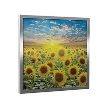 képes infrapanel Fenix EcoSun 300 G - Napraforgó