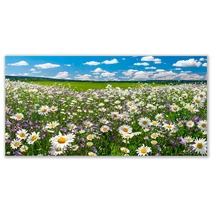 képes infrapanel Ecosun Daisy meadow 600 W