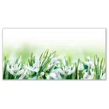 Üveg - kép infrapanel Snowdrops (600 W) Új termék!